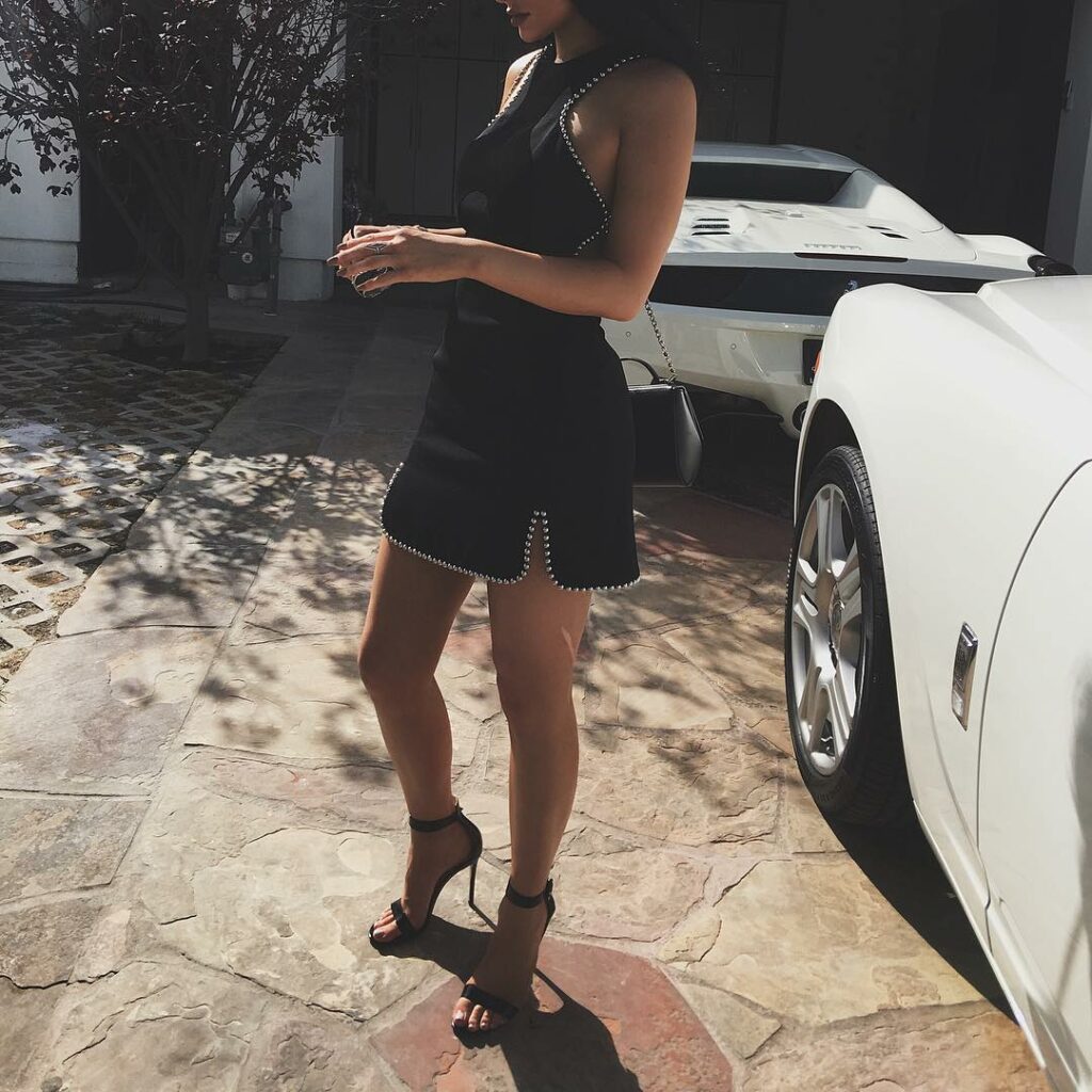 Alexander Wang...