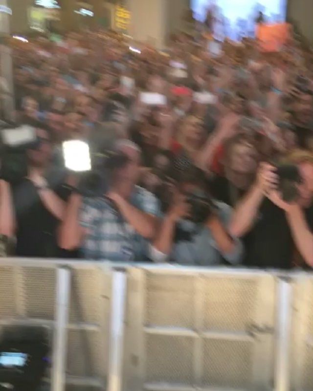 My view  I love you sweet Sydney. So much love in the air today...