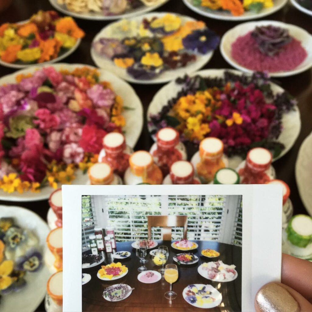 edible flowers, pressed ginger shots, and every juice ever. having a little mixe...