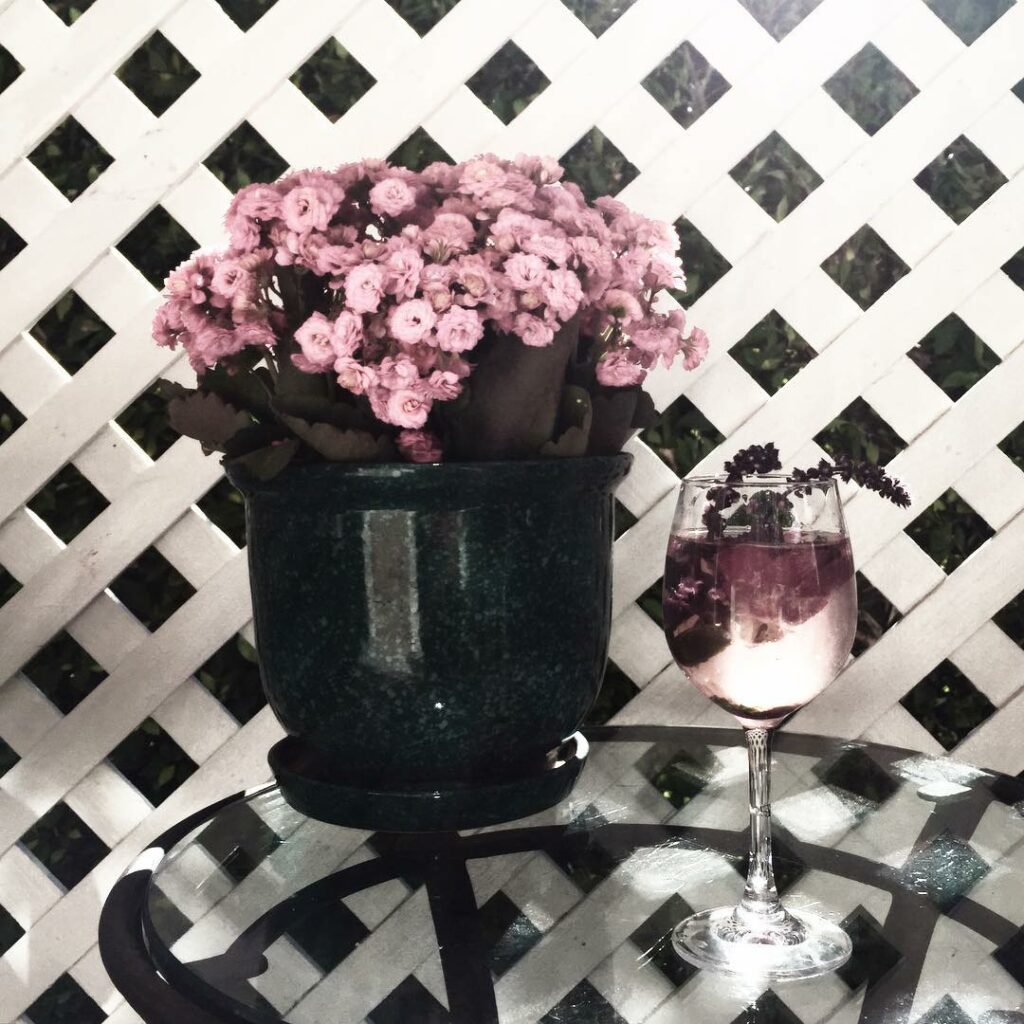 Princess Drank: rose water / ginger+apple juice / sparkles  #docoolstuff because...
