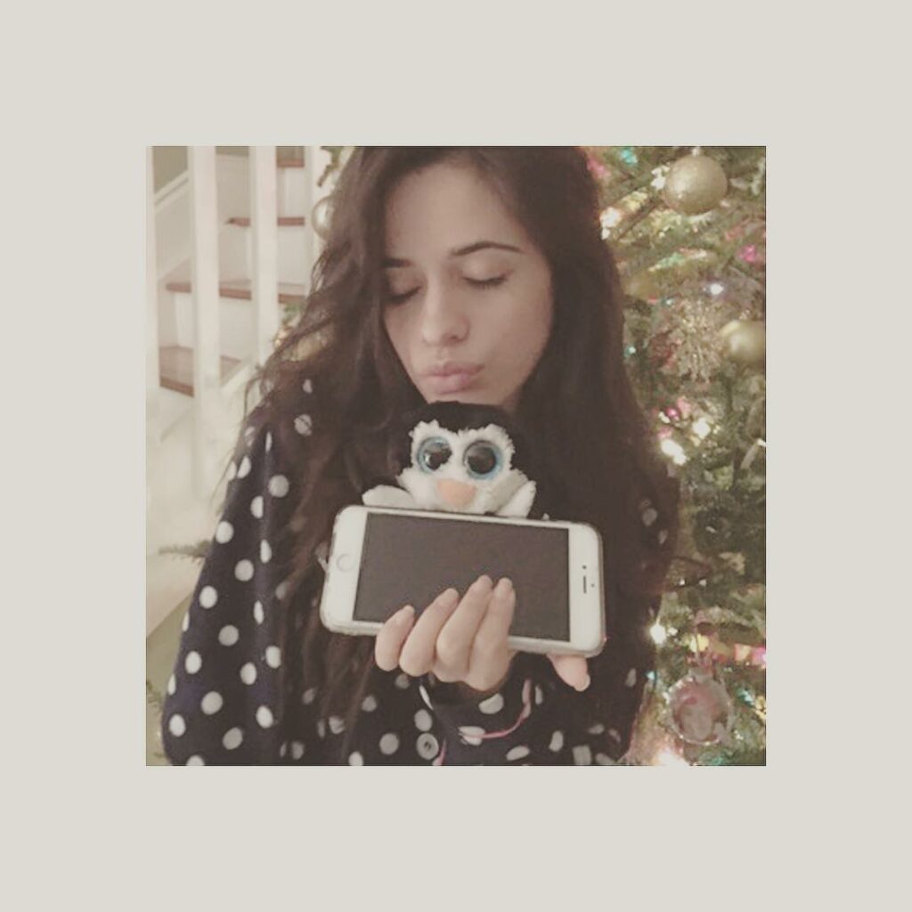 just got a @tyinc peek a boo phone holder! merry christmas  #peekaboomoments #st...