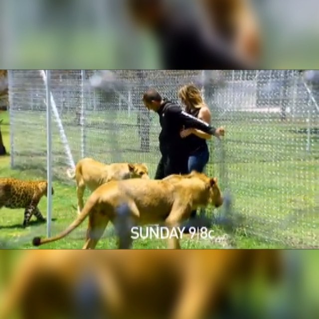 The moment I walked in the lions den with the GREAT @blackjaguarwhitetiger!!! Wh...
