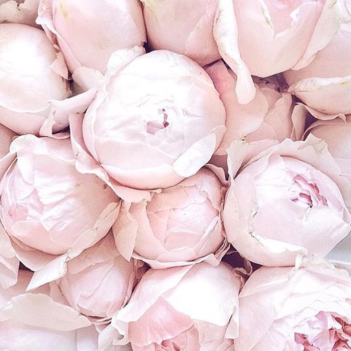 Peonies...