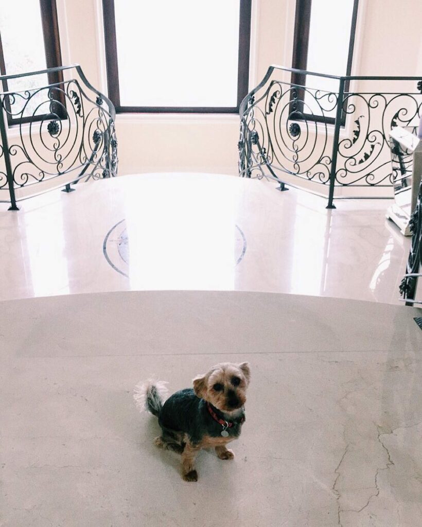 so proud of Strauss all moved into his new place...