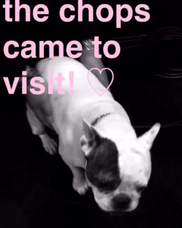 ♡...