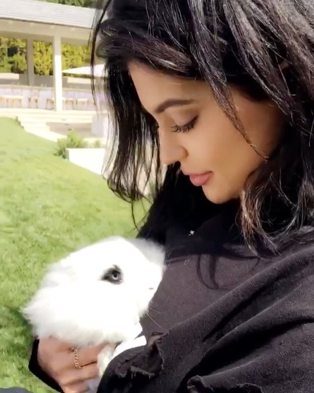 Bunny ...