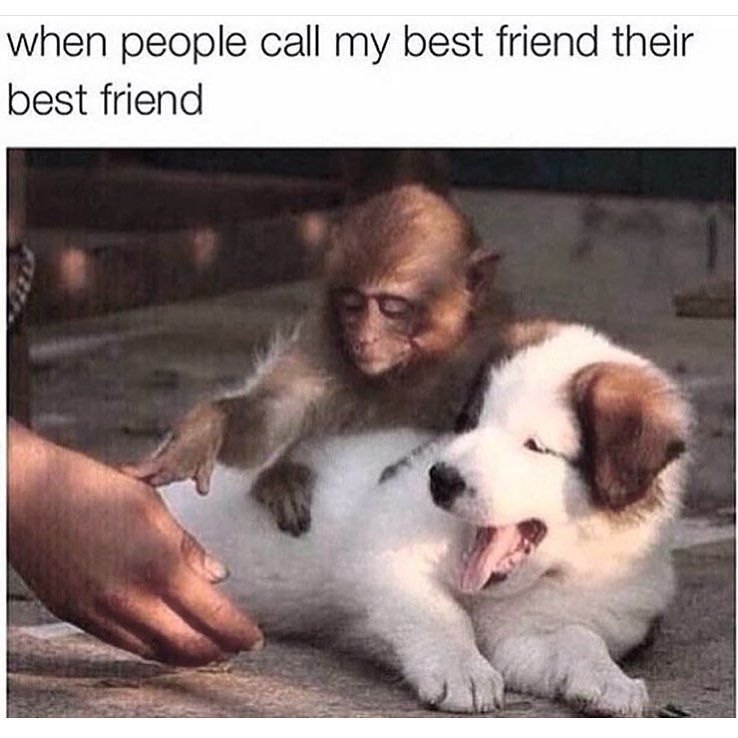 @lexie1225 ...