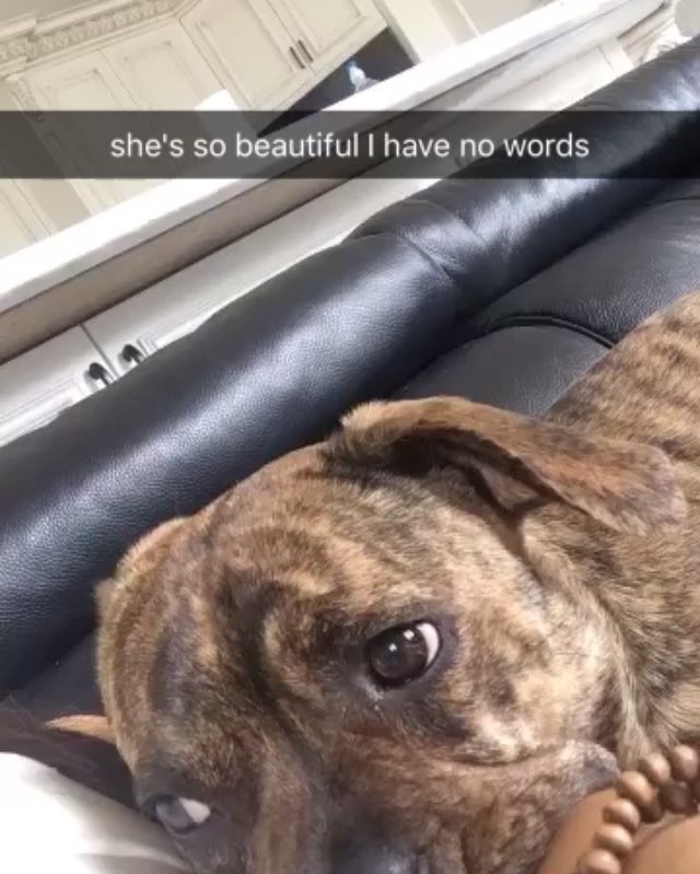 dem eyes...
