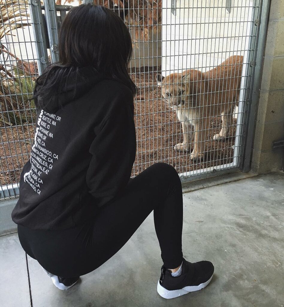 Puma Vs. Puma...