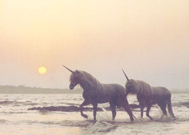Love is magic and magic is love. You have to believe, for it to exist....