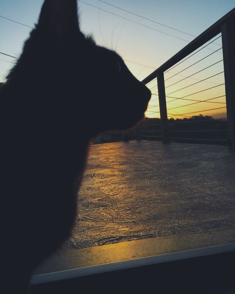 "I'm going to make everything around me beautiful. That will be my life." -Elsie...