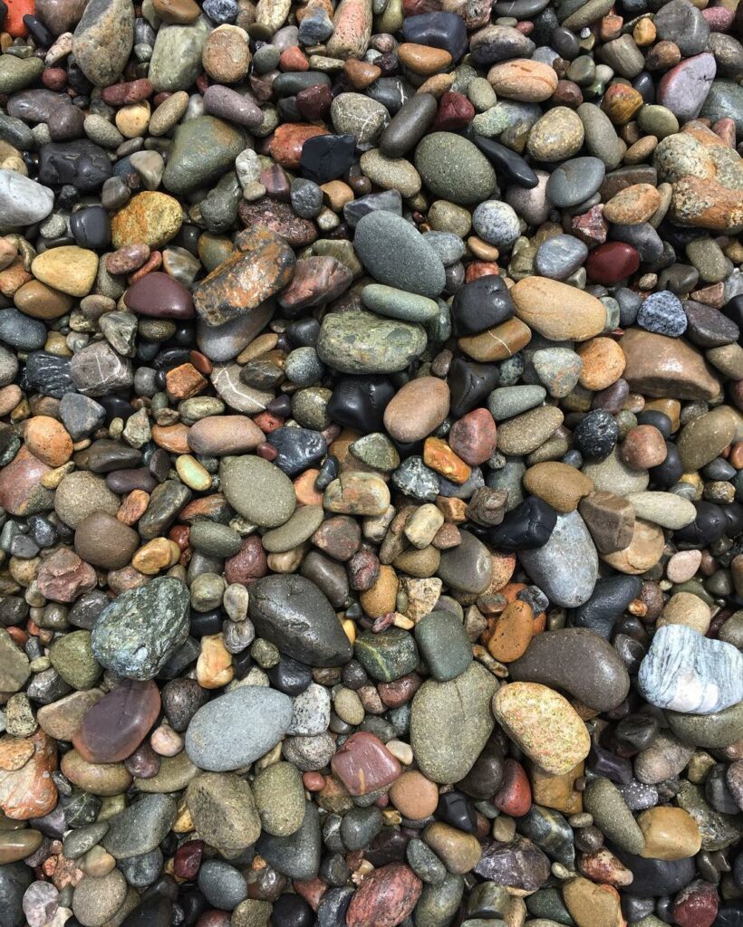 dreaming of the beach while skurting and snapping through cloudy los angeles. SC...