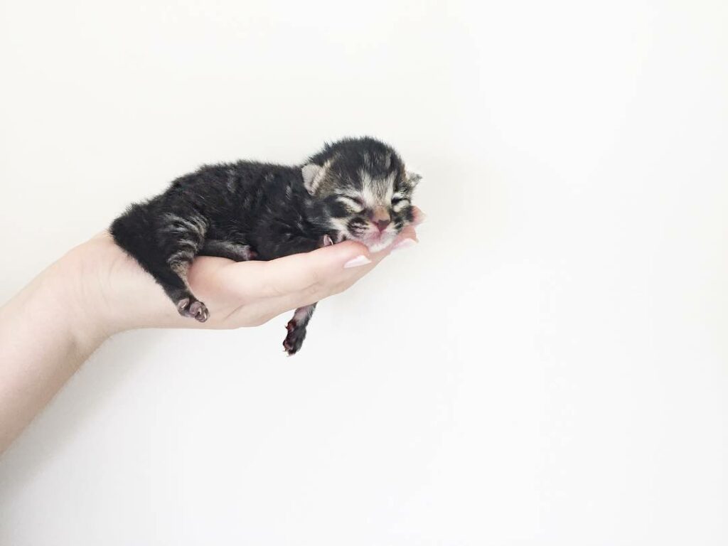 my bb had bbs...