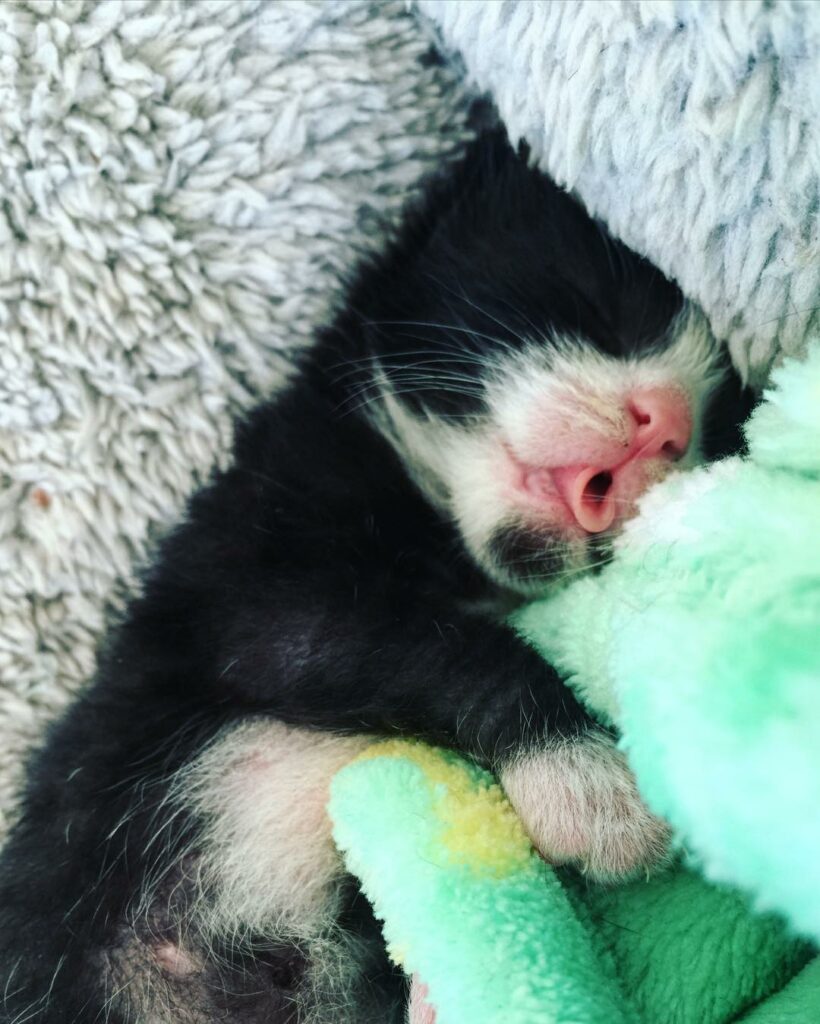 #monday...