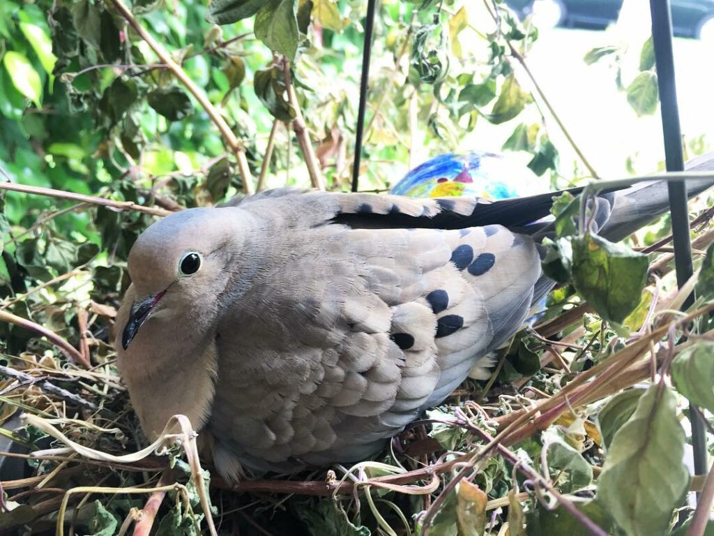 there's new life every day. look up....