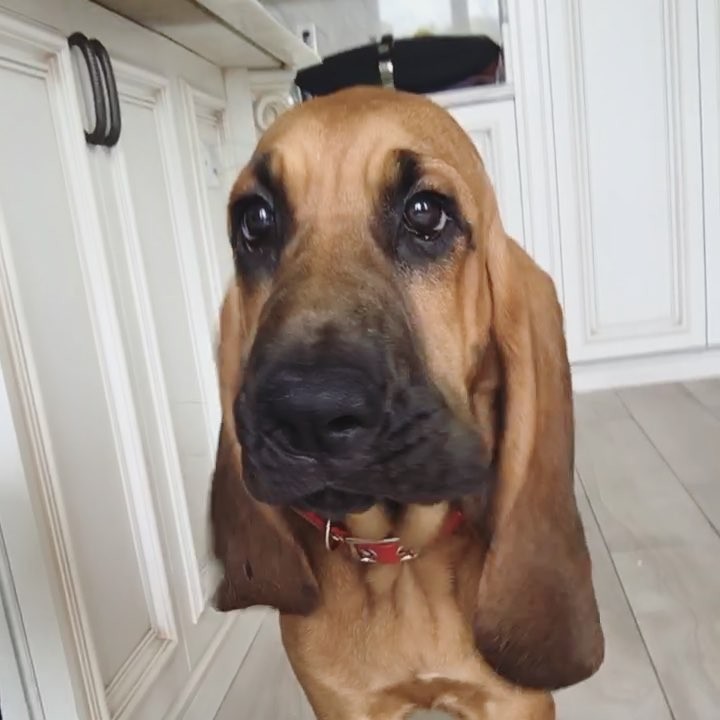 the most beautiful baby...