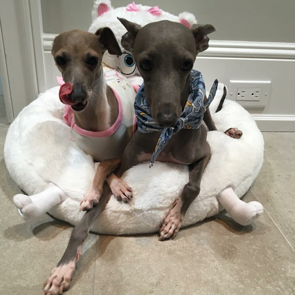 miss my angels ...
