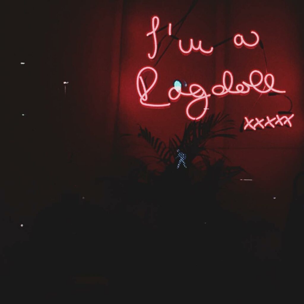 angel city//night adventure ...