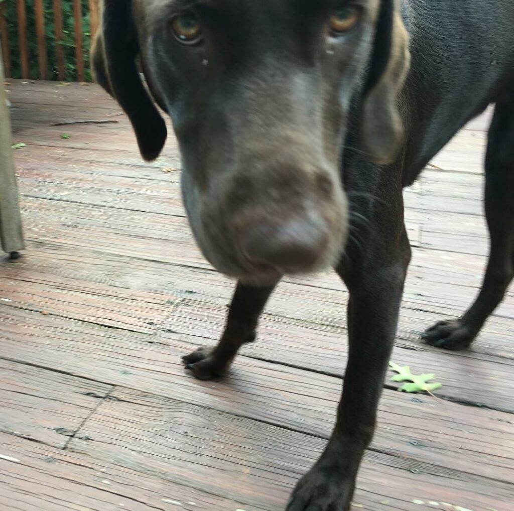 made a friend...