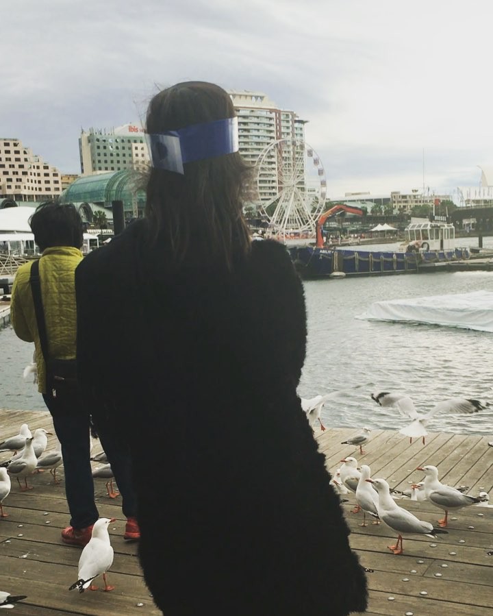 my dream is to be like that lady who so calmly accepted that there was a seagull...