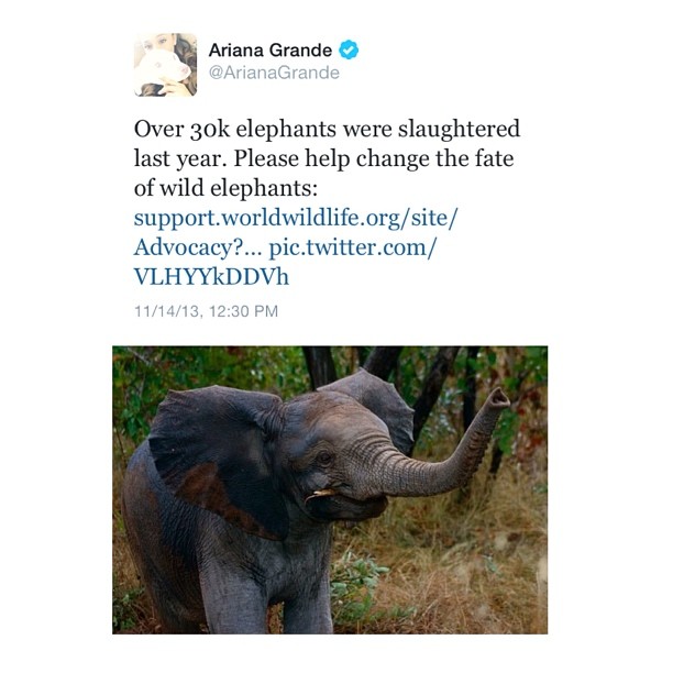 The link is on my Twitter. Only takes a minute of your time to help. Thank you f...