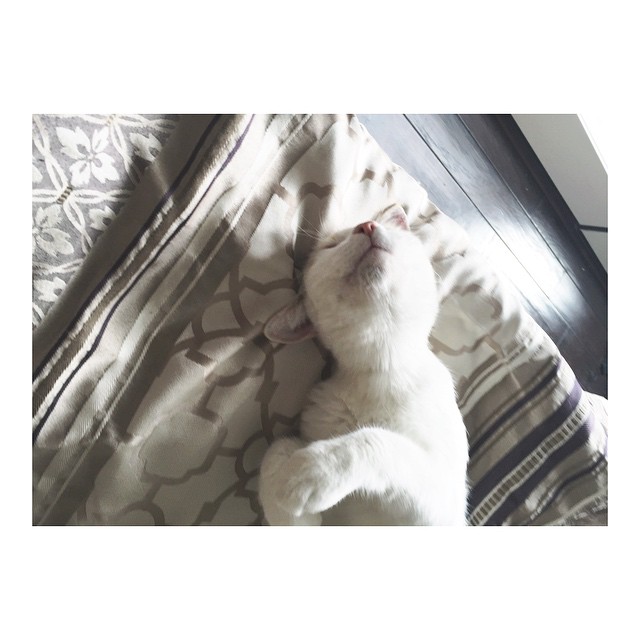 waking up with sunbeams on my face got me like...