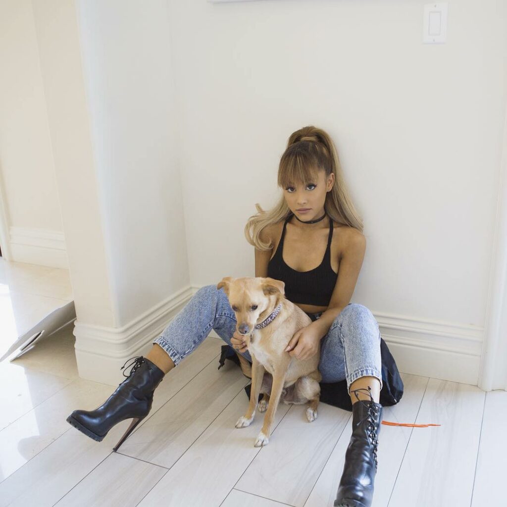 woman's best friend...