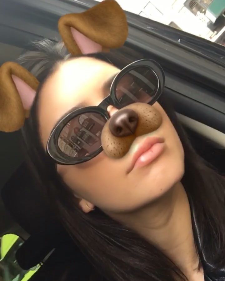 doggy things...