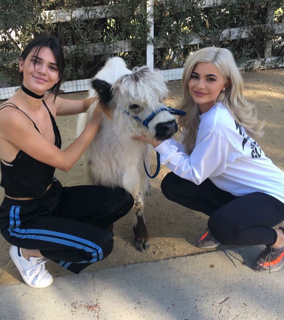 A chicken!!!!! @kendalljenner...
