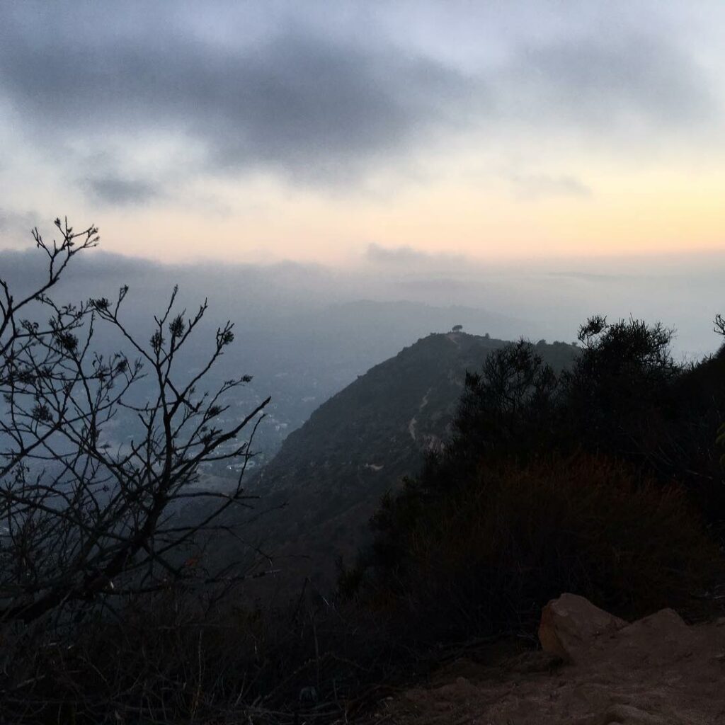 it's a weird time to be a human being, but there's redemption in every sunrise. ...