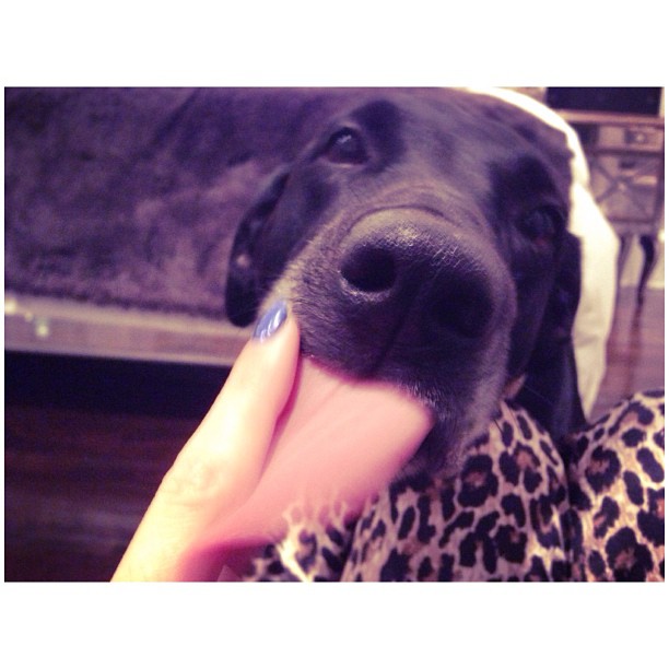 she's always giving me kisses ...