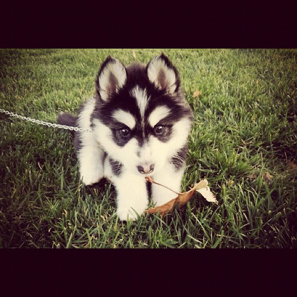 hello cutie! ...