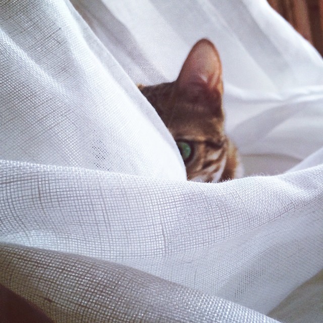 ...I'm being watched...