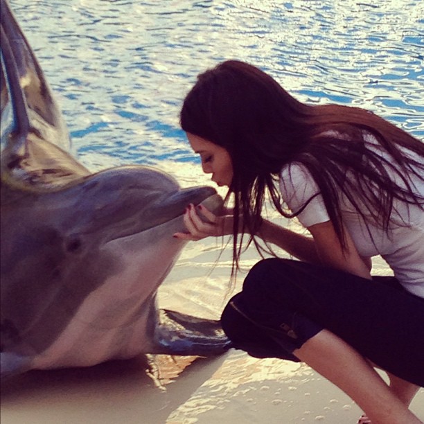 dolphin love ...