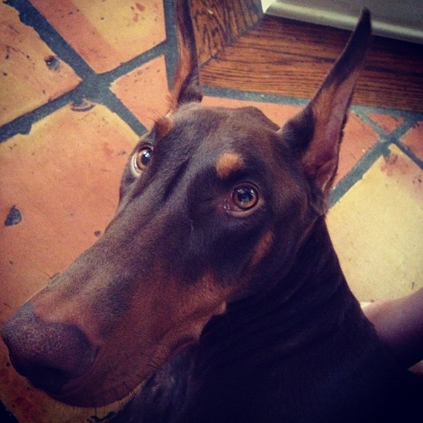 heyy big! ...
