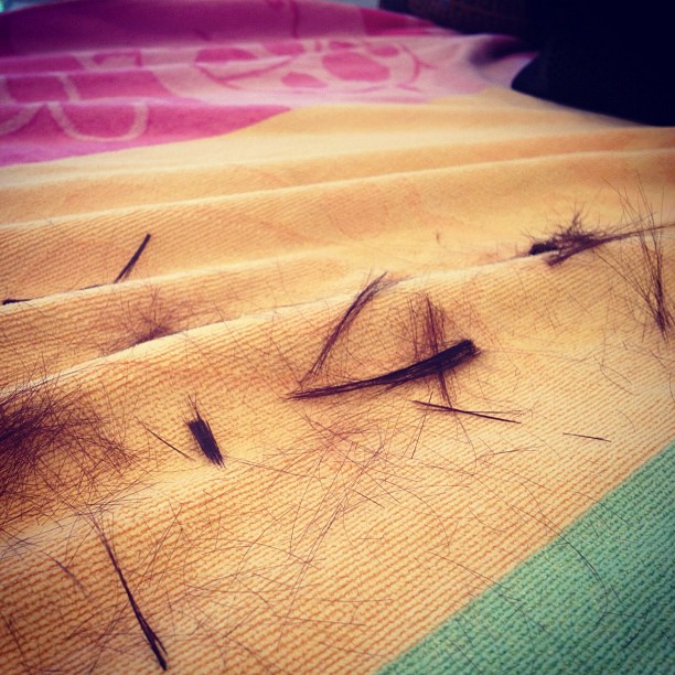 Kylie cut my hair! more gone...bye bye ...
