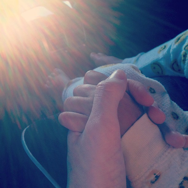 mase likes to hold my hand during car rides ...