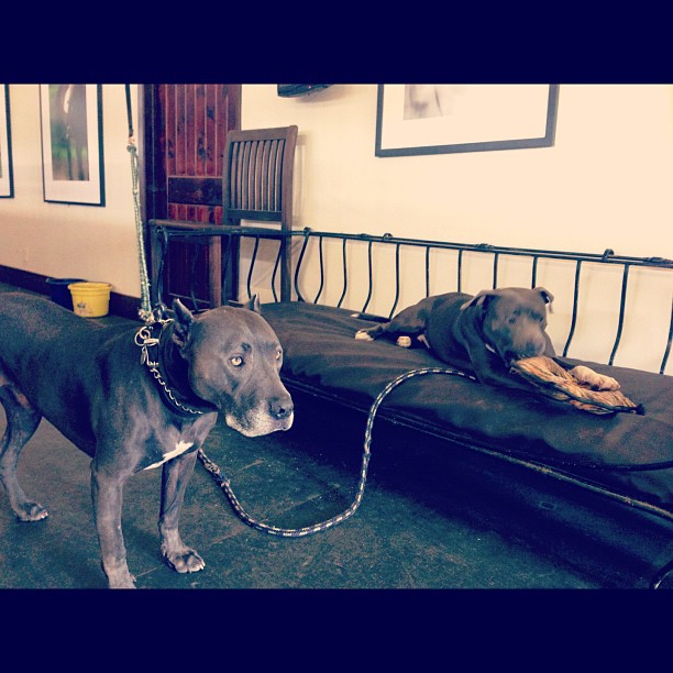 the guards...