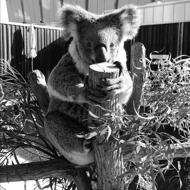 hi there!...