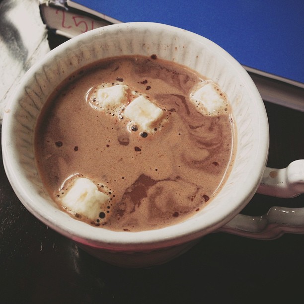 cold & gloomy day. hot coco  just hit the spot ...