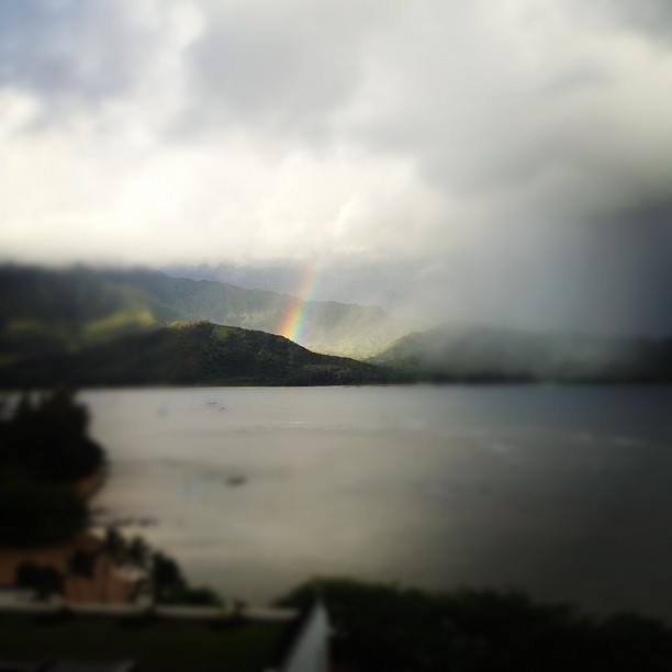goodmorning rainbow! ...