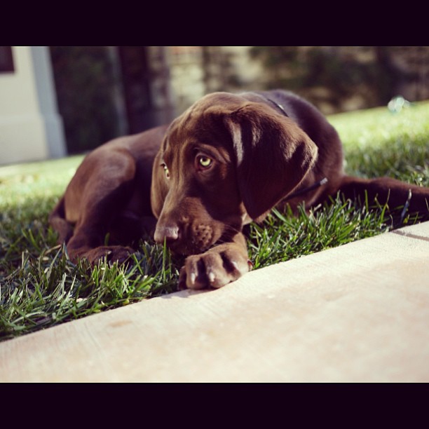 I miss my little boy  #tb Louis...