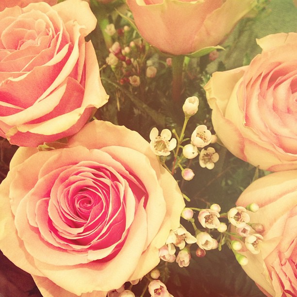 a rose for me and a rose for you...