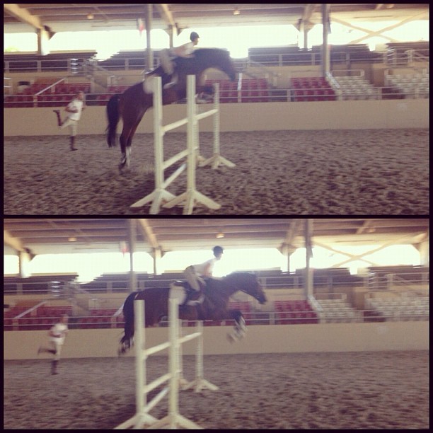 soarin' with Copias! ...