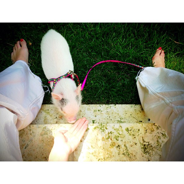we shall name you, Snow White ...