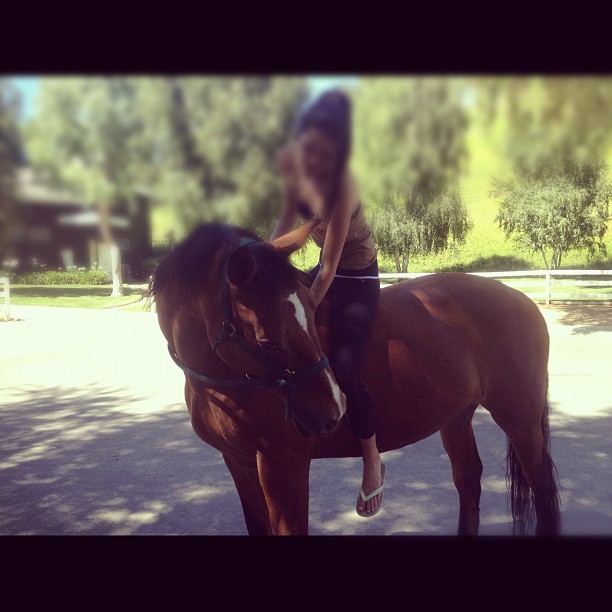 he's a beauty #myboi...