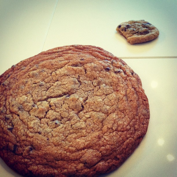 Jumbo JUMBO cookie! #thanksvinny...