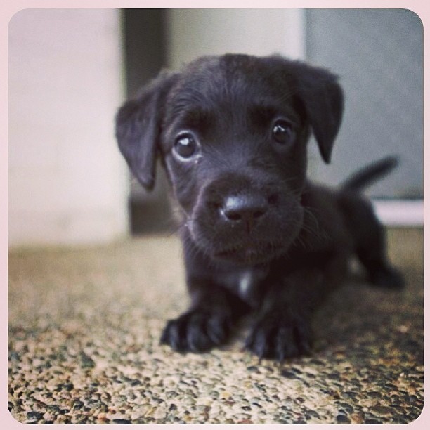 come to me...