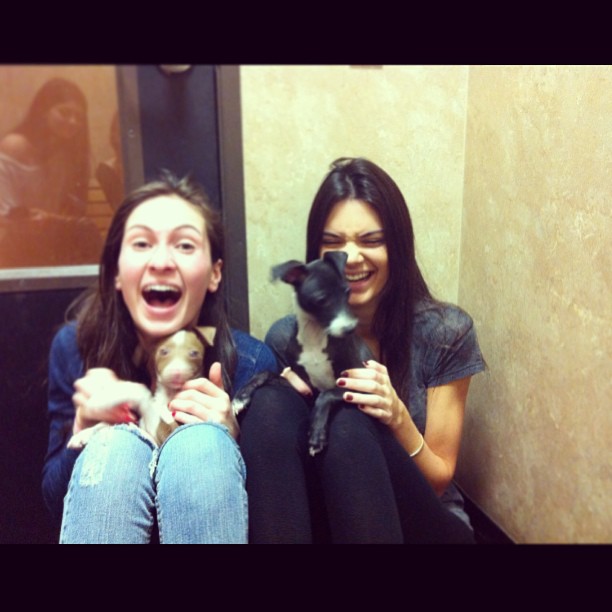 puppies!! ...