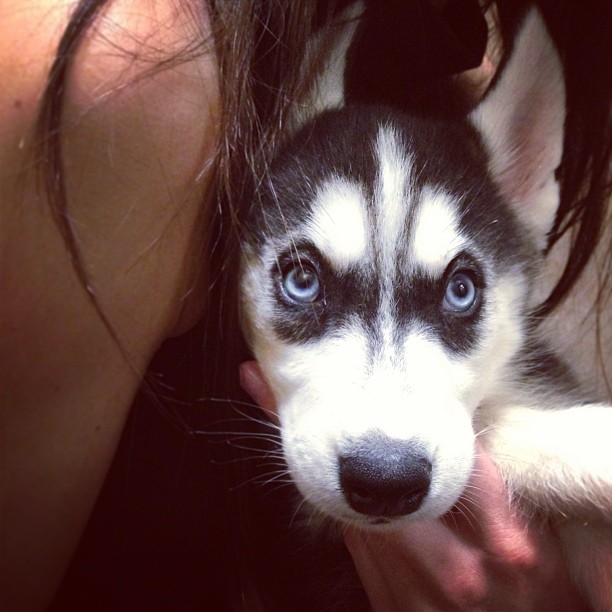 I need him. ...